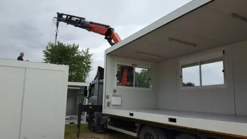 Vrij als een vogel!