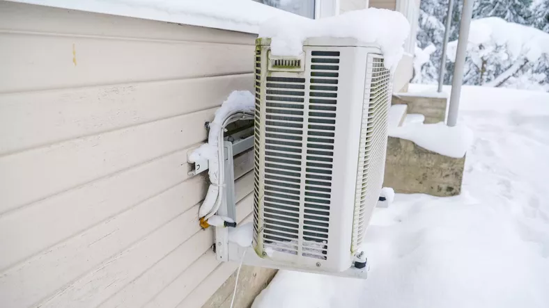 iStock-1133761057.jpg